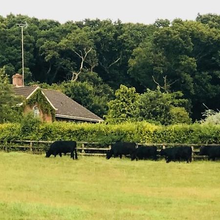 Yellowham Farm, Dorchester Higher Bockhampton Экстерьер фото
