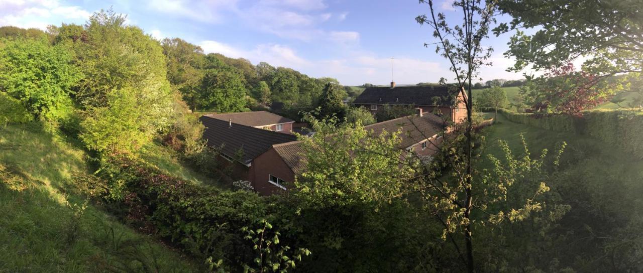Yellowham Farm, Dorchester Higher Bockhampton Экстерьер фото