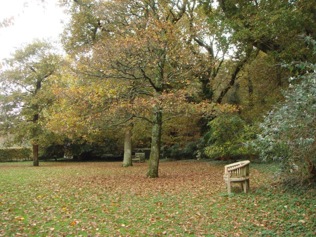 Yellowham Farm, Dorchester Higher Bockhampton Экстерьер фото