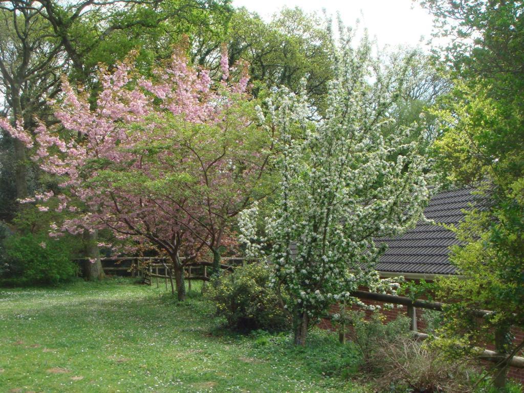 Yellowham Farm, Dorchester Higher Bockhampton Экстерьер фото