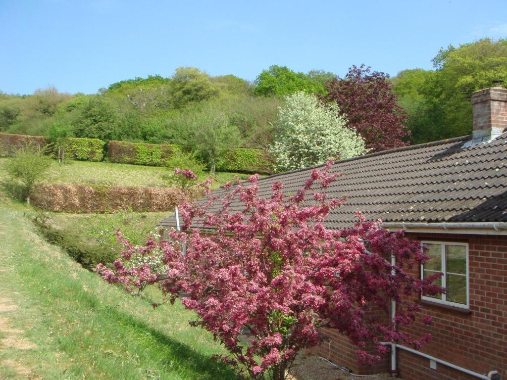 Yellowham Farm, Dorchester Higher Bockhampton Экстерьер фото