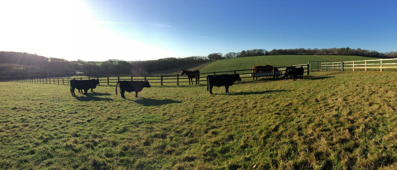 Yellowham Farm, Dorchester Higher Bockhampton Экстерьер фото